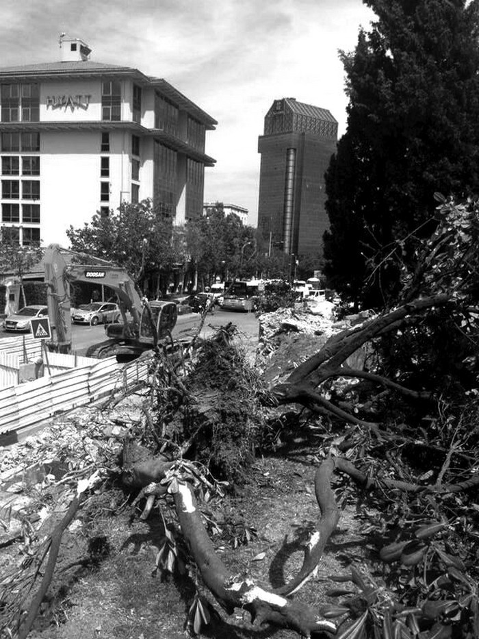 pe03_2013_0528_gezi-parki